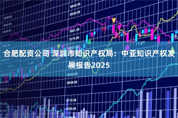 合肥配资公司 深圳市知识产权局：中亚知识产权发展报告2025