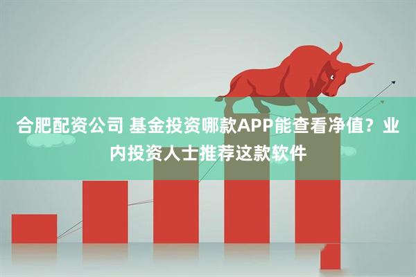 合肥配资公司 基金投资哪款APP能查看净值？业内投资人士推荐这款软件